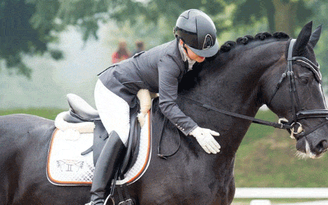 knhs-dressuurproeven,-de-nummer-1-best-betaalde-sport-app-voor-ios